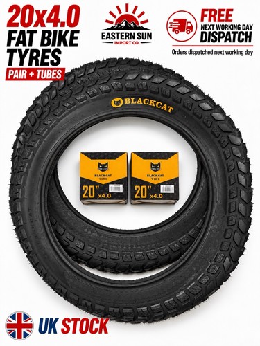 Blackcat 0 fat bike - 20, 4.0